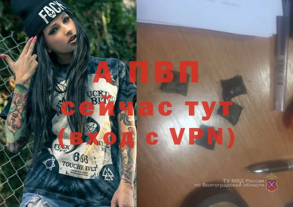 a pvp Хадыженск