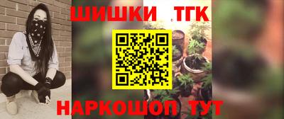 МДПВ Лесосибирск