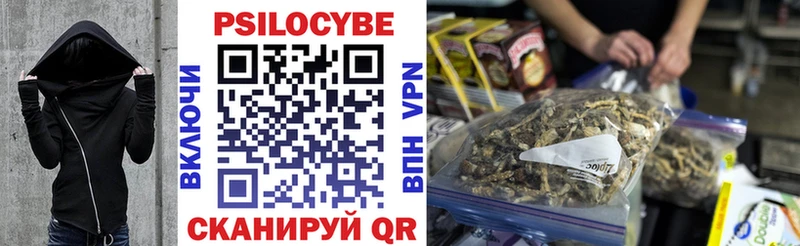 ОМГ ОМГ как зайти  купить наркотики сайты  Набережные Челны  Галлюциногенные грибы MAGIC MUSHROOMS 