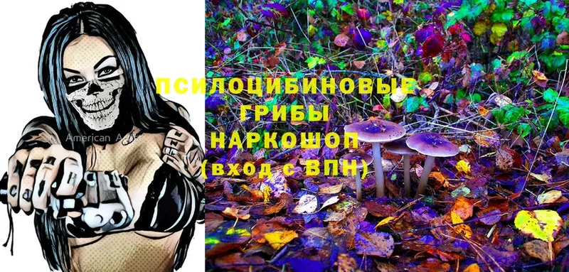 Псилоцибиновые грибы Magic Shrooms Набережные Челны