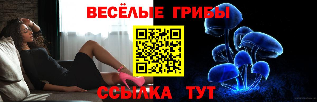 Псилоцибиновые грибы MAGIC MUSHROOMS  Псилоцибиновые грибы MAGIC MUSHROOMS  Набережные Челны 